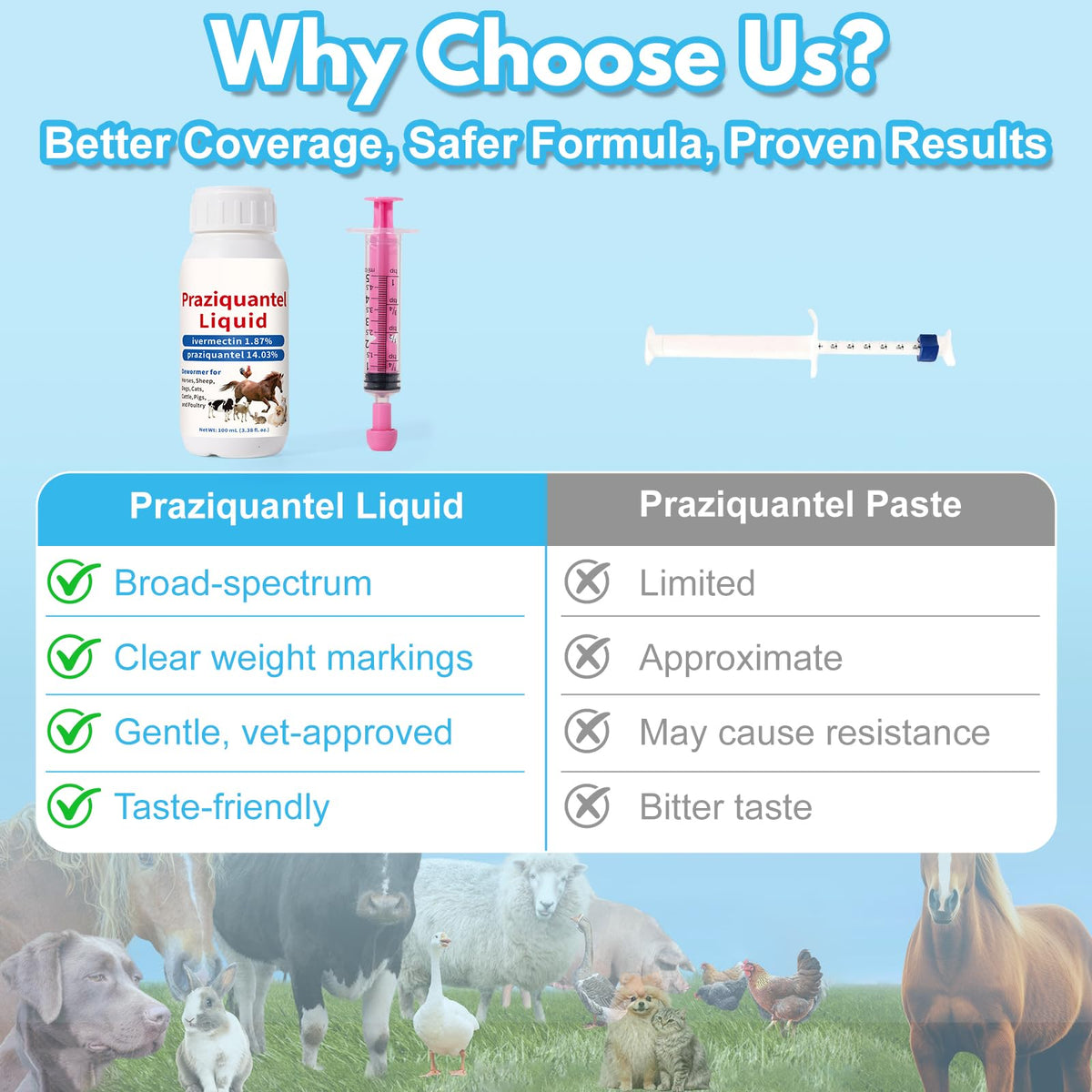 Praziquantel Dewormer 100 mL L23084