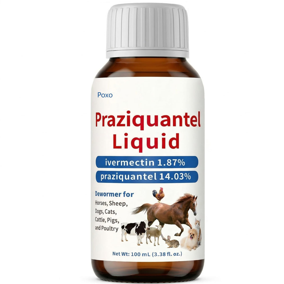 Praziquantel Dewormer 100 mL L23084
