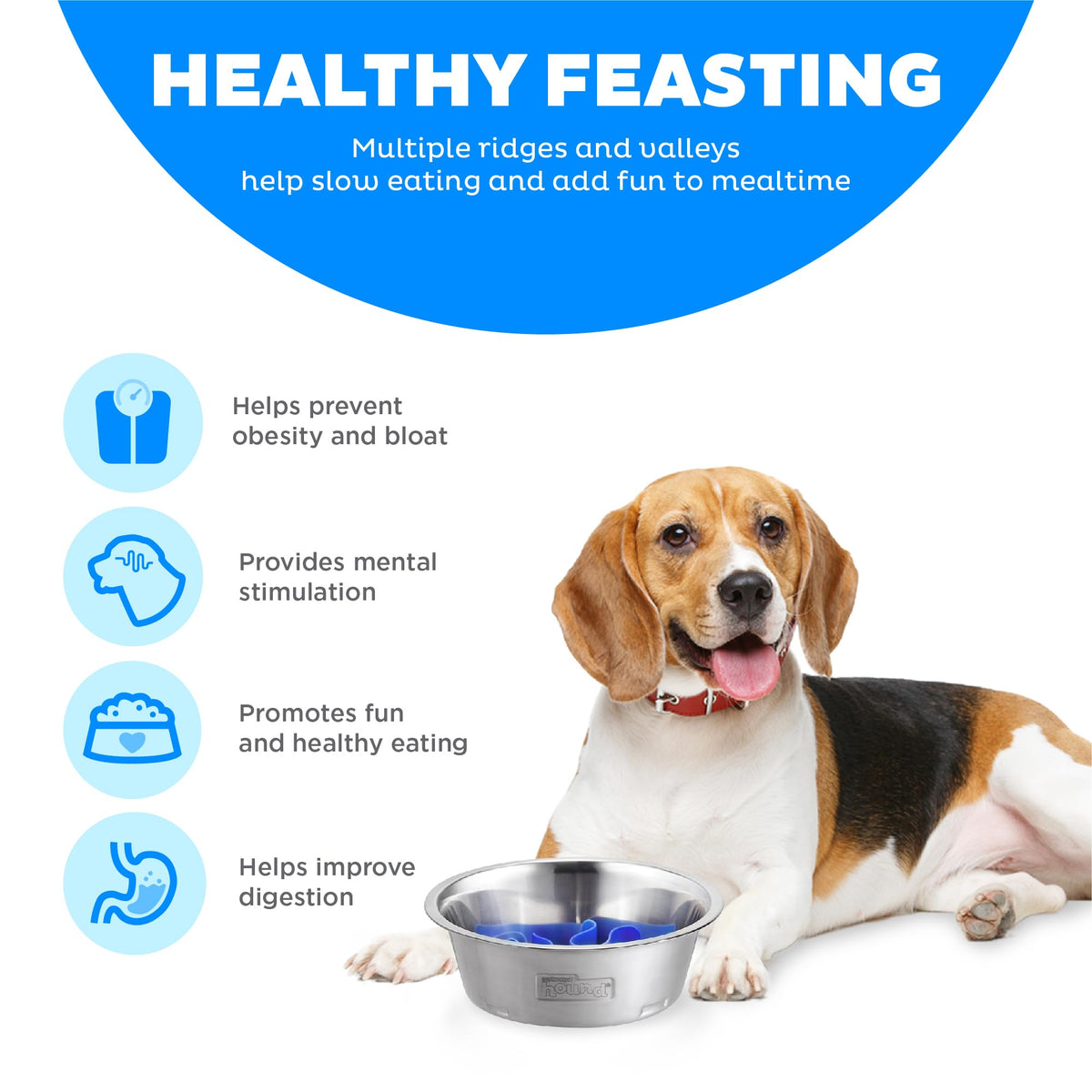 Stainless Steel Slow Feed Dog Bowl Y158