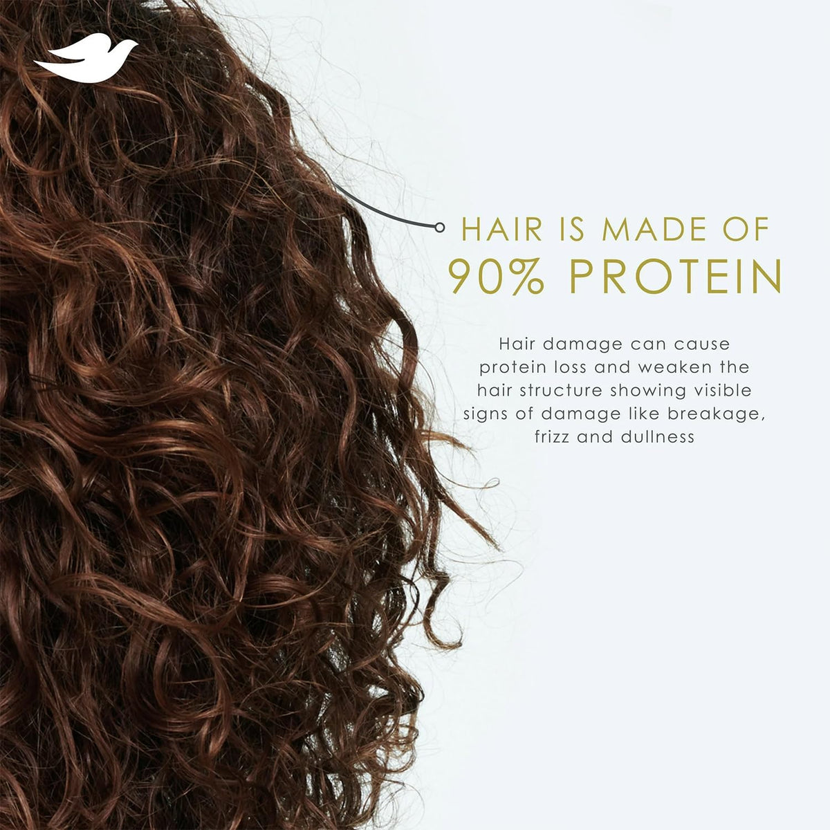 Shampoo & Conditioner Set with Hairspray 3 Piece Set F802