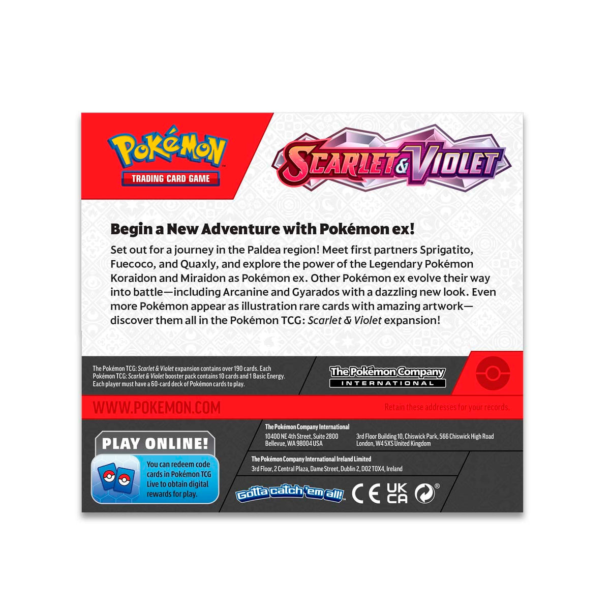 Booster Display Box (36 Packs) Y173808