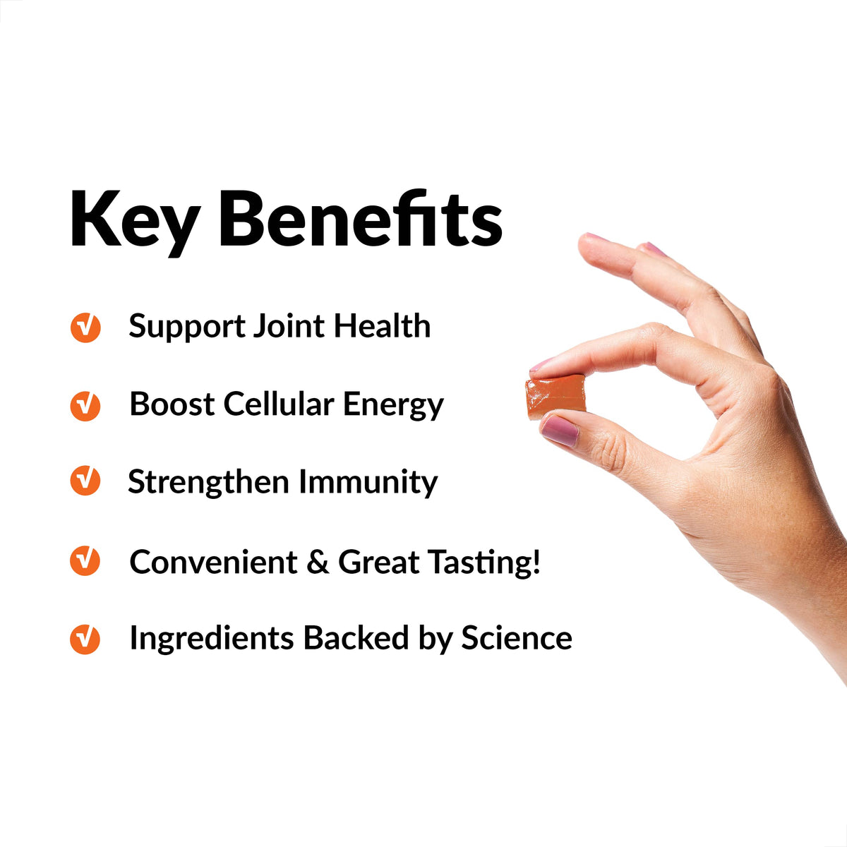Turmeric Joint Support Supplement & Superfood Chews B4654