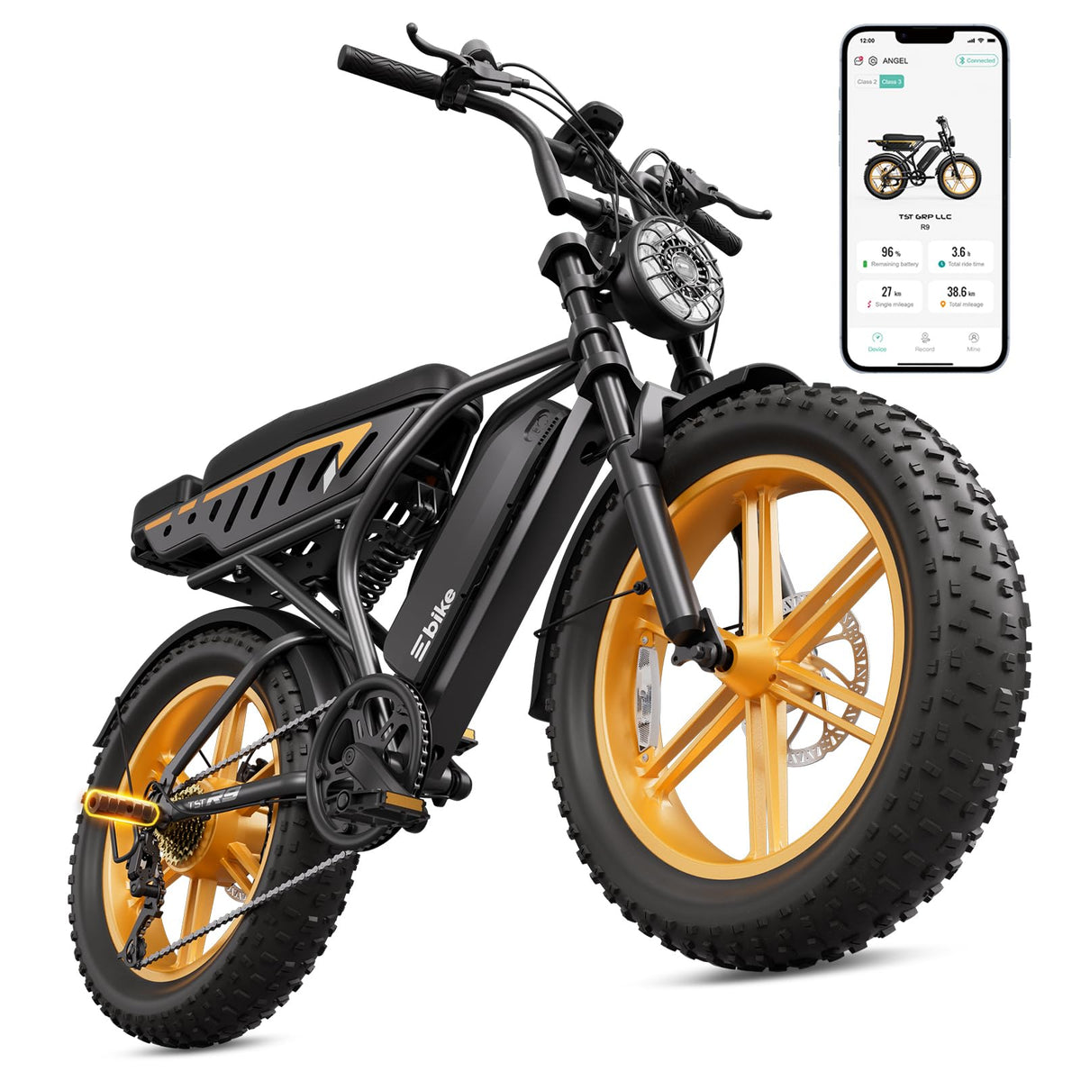 Electric Bike 48V 15Ah Battery 1500W Peak Motor 20 * 4.0 Fat Tire S821156