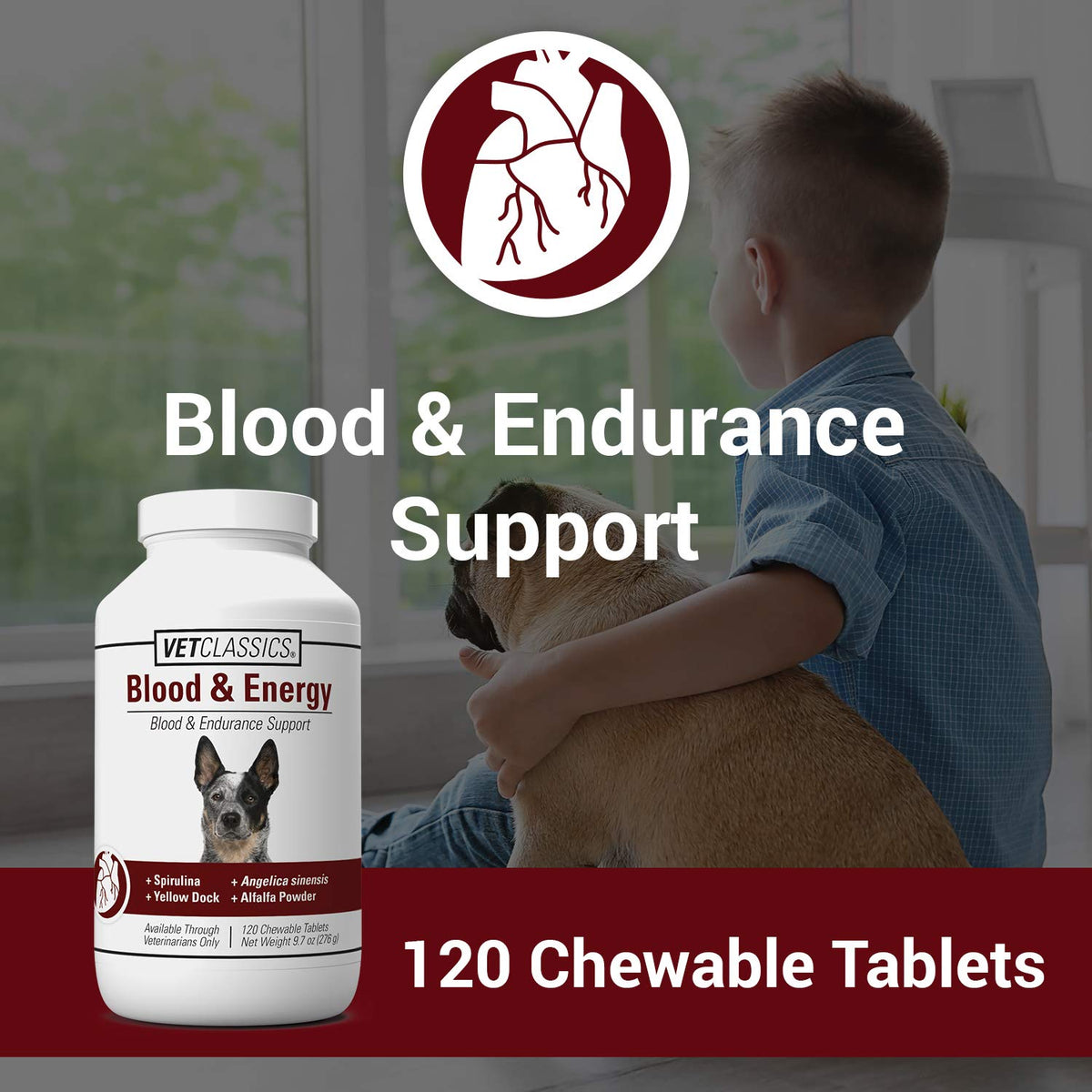 Blood & Energy Support Supplement for Dogs 120 Tablets W592953