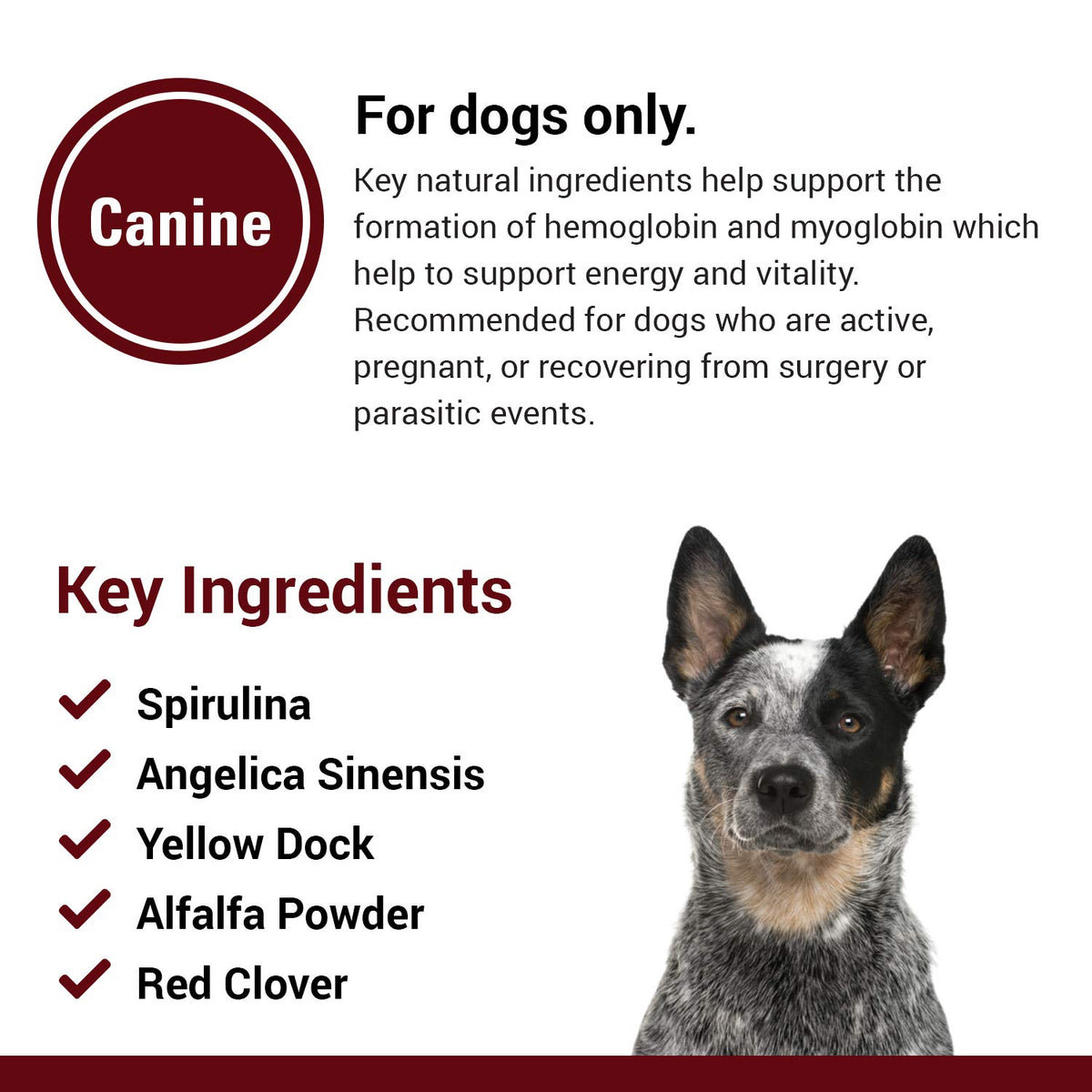 Blood & Energy Support Supplement for Dogs 120 Tablets W592953