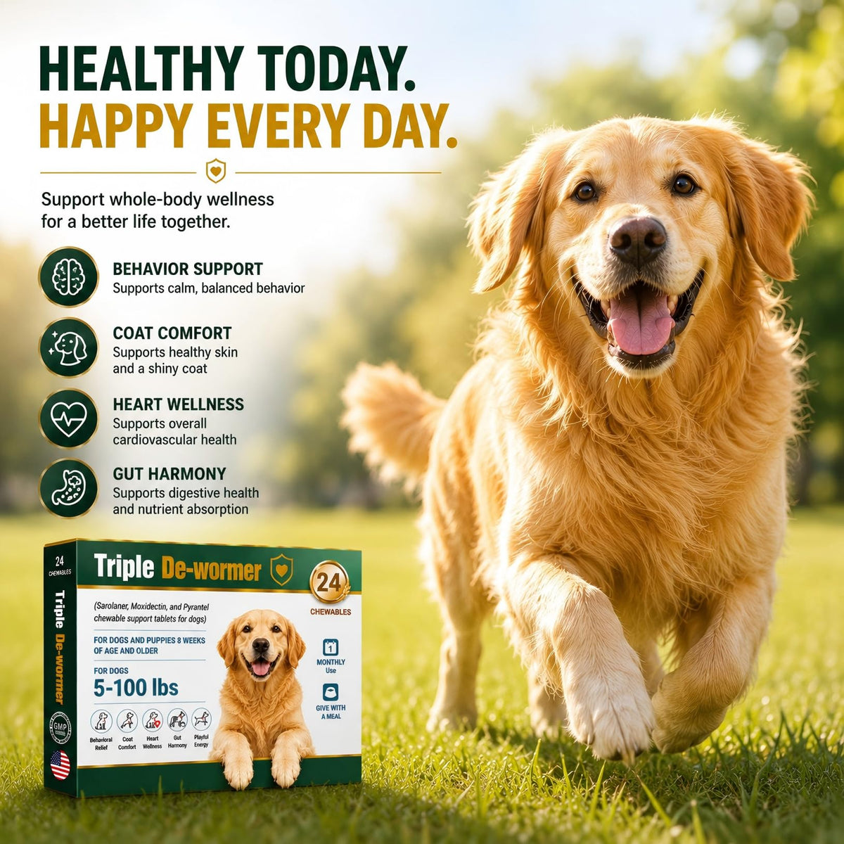 Broad Spectrum Dog Dewormer Tablets with Pyrantel Pamoate, 24 Tablets S344