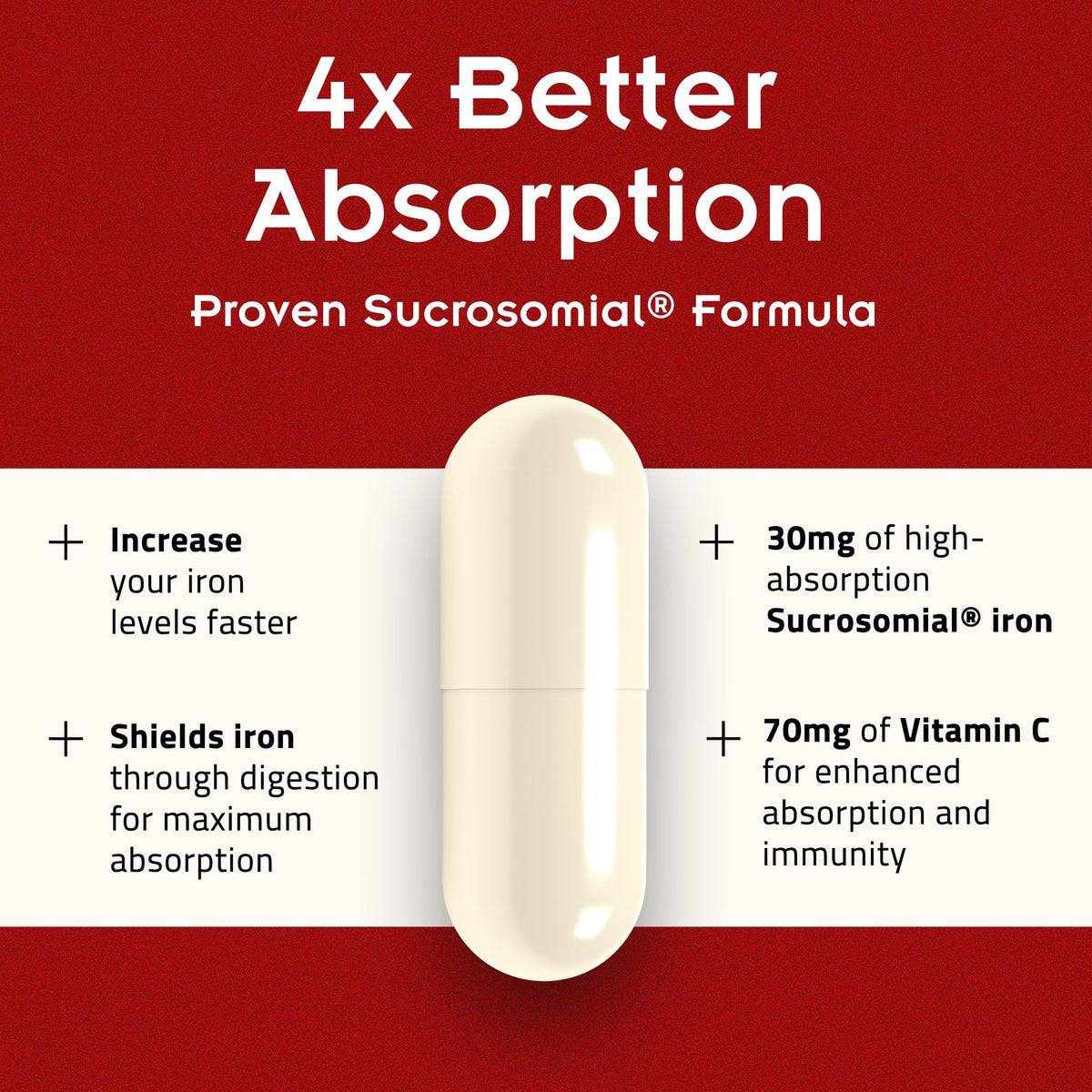 Iron Supplement with Vitamin C, 30ct L998