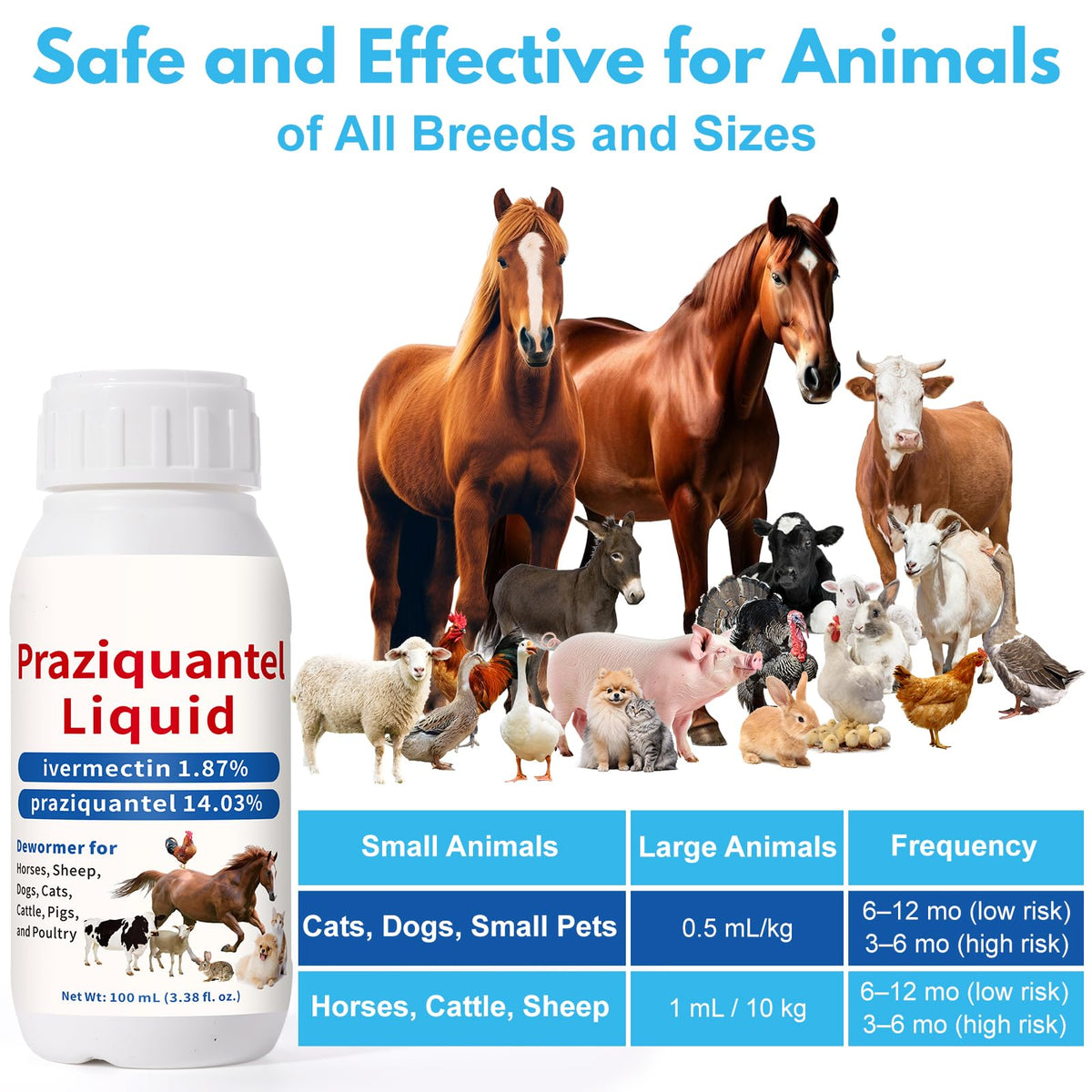 Praziquantel Dewormer 100 mL L23084