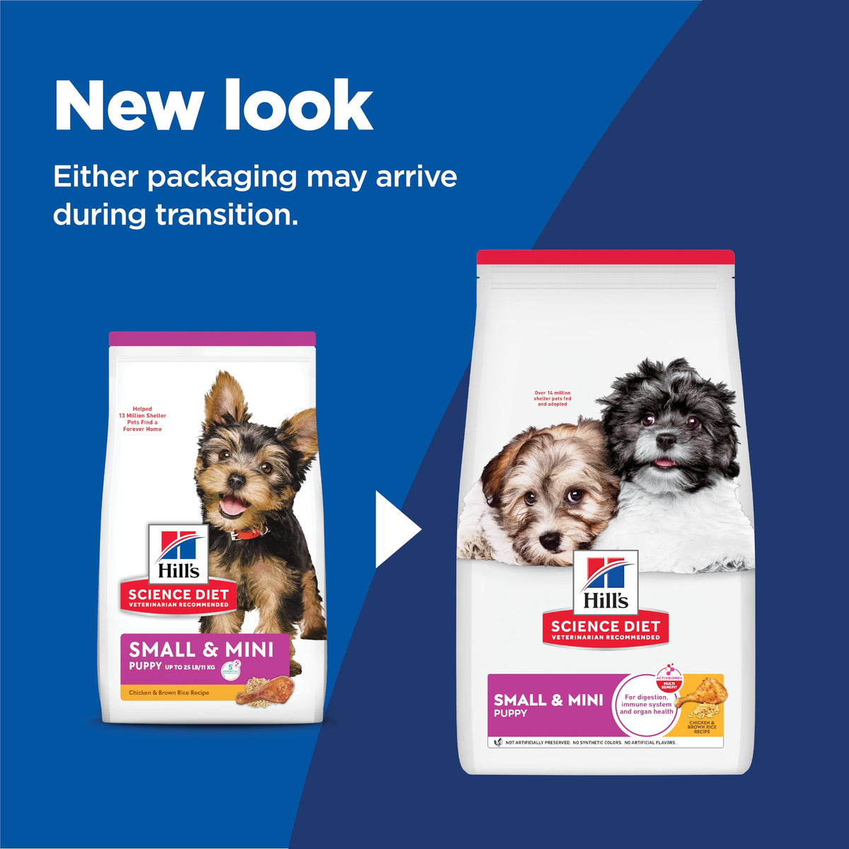 Dry Dog Food Z741