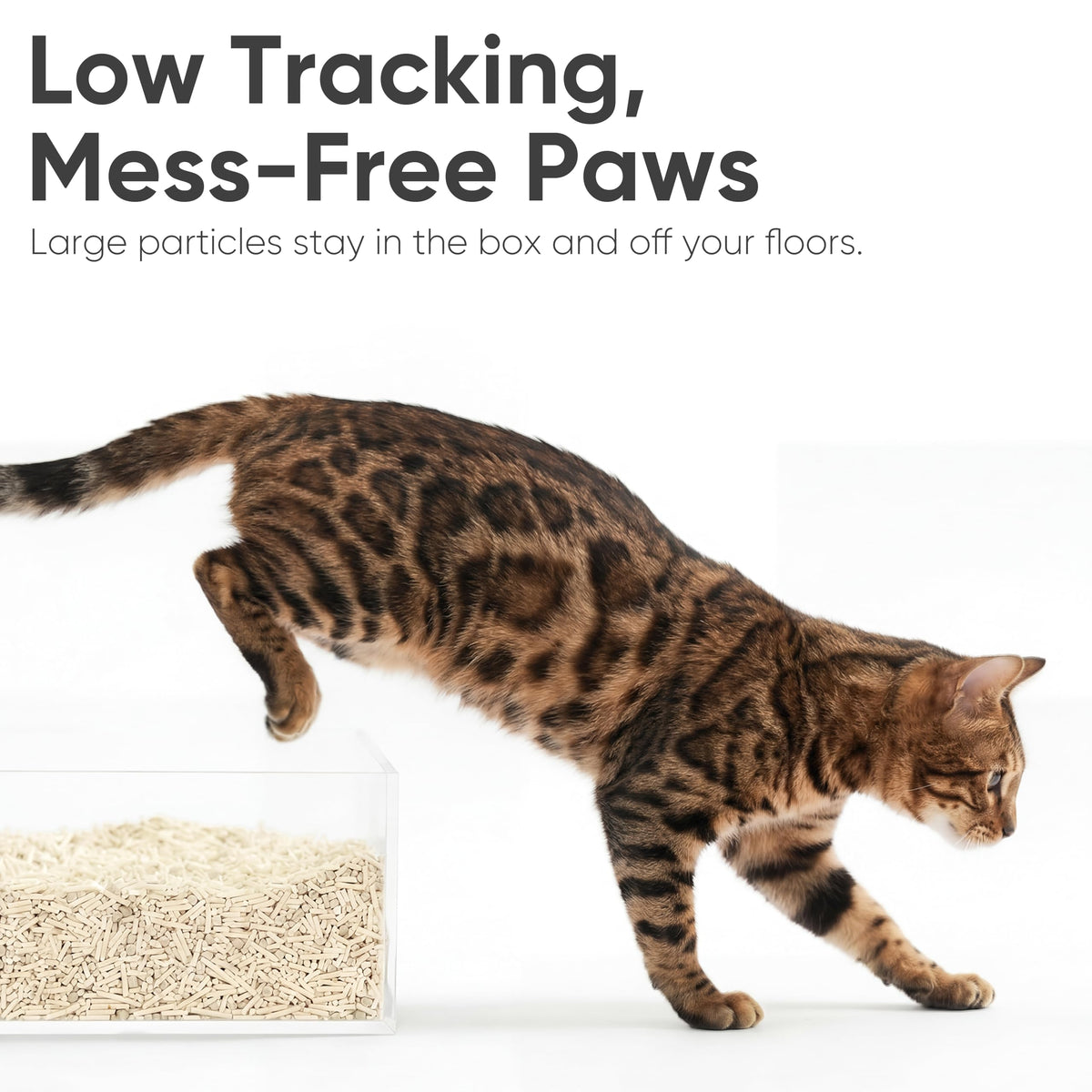 Tofu Cat Litter, Corn Blend, Clumping, Odor Control, Low Dust 18lb Q600775