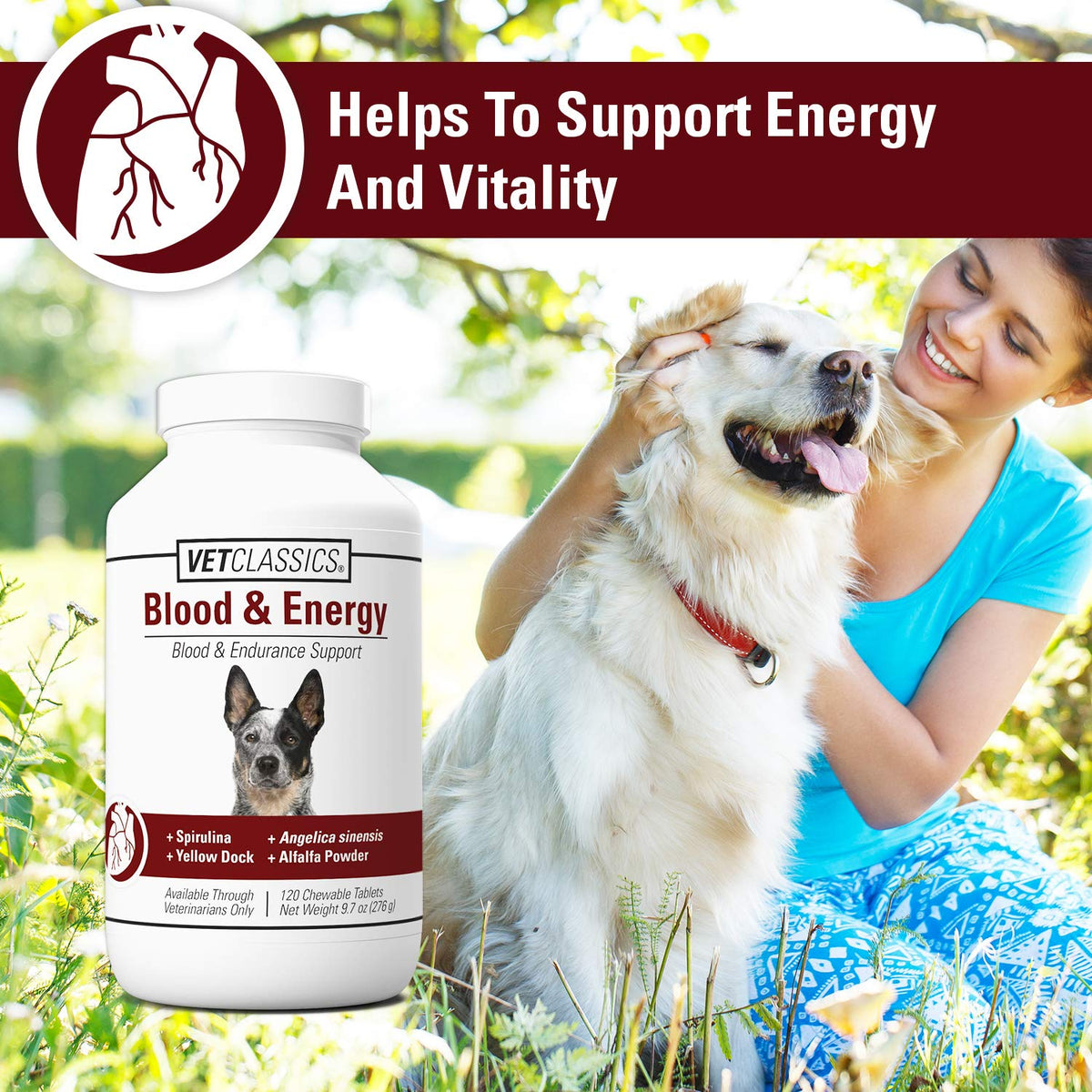 Blood & Energy Support Supplement for Dogs 120 Tablets W592953