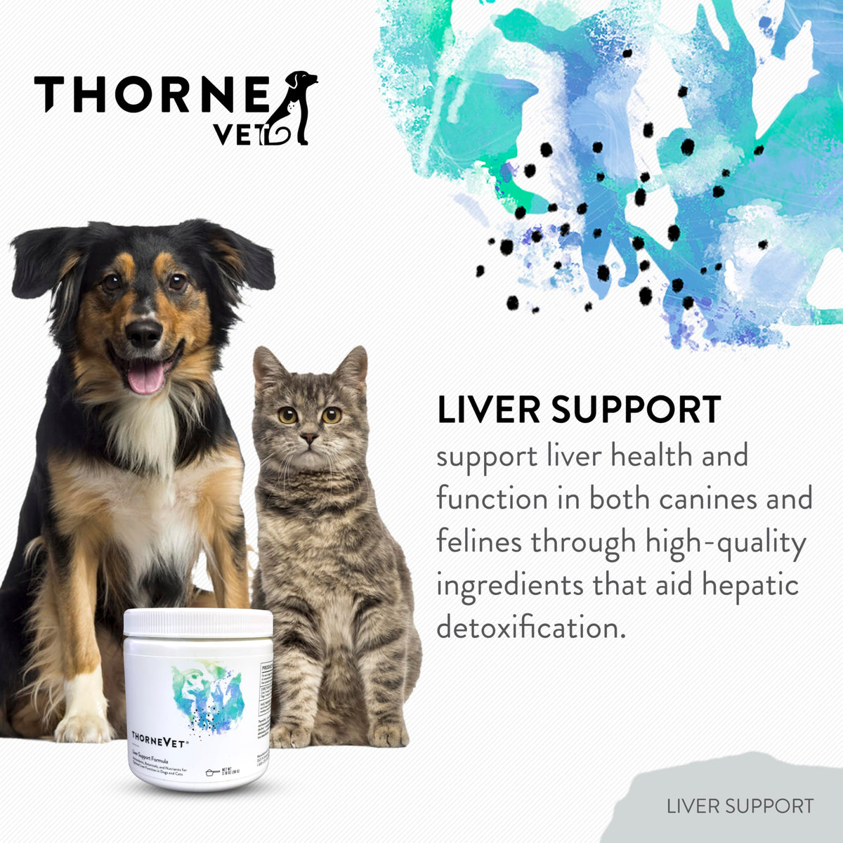 Liver Support Powder for Dogs & Cats O91135