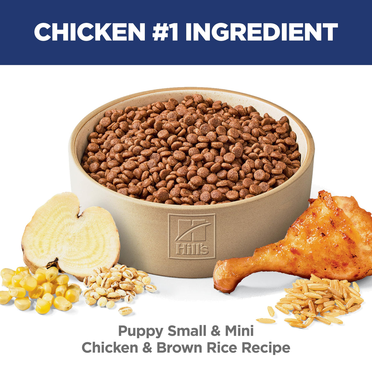 Dry Dog Food Z741